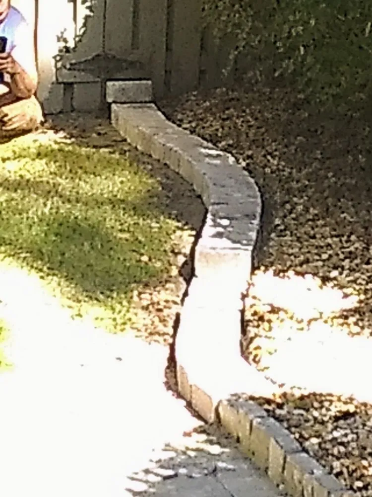 Trusted yard maintenance for residential properties across Lake City, FL - Yards by William