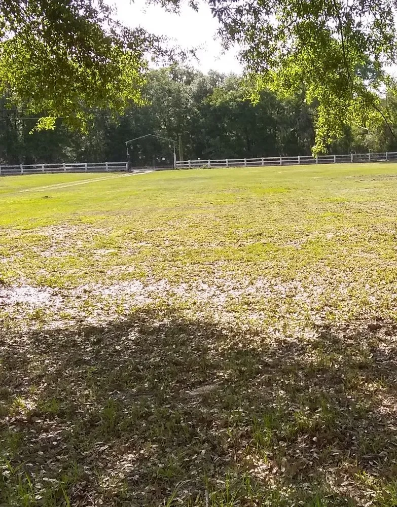 Local outdoor landscaping experts serving Lake City, FL - Yards by William