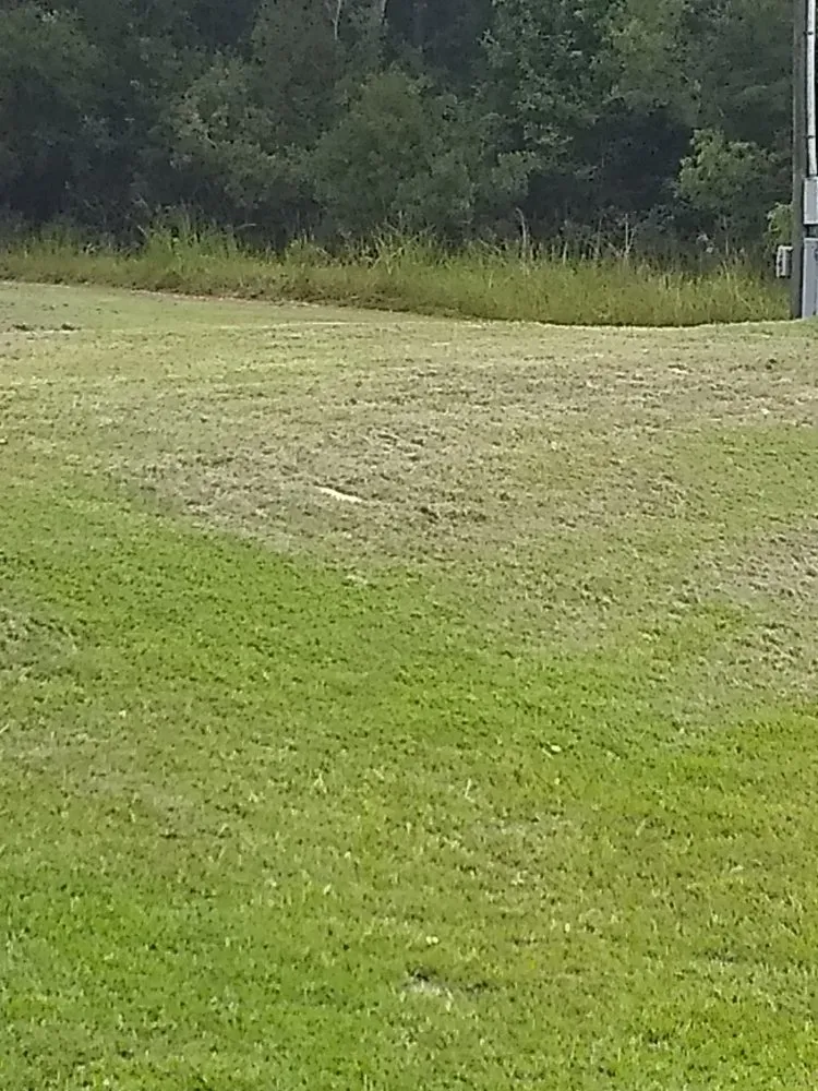 Reliable outdoor landscaping experts serving Lake City, FL - Yards by William