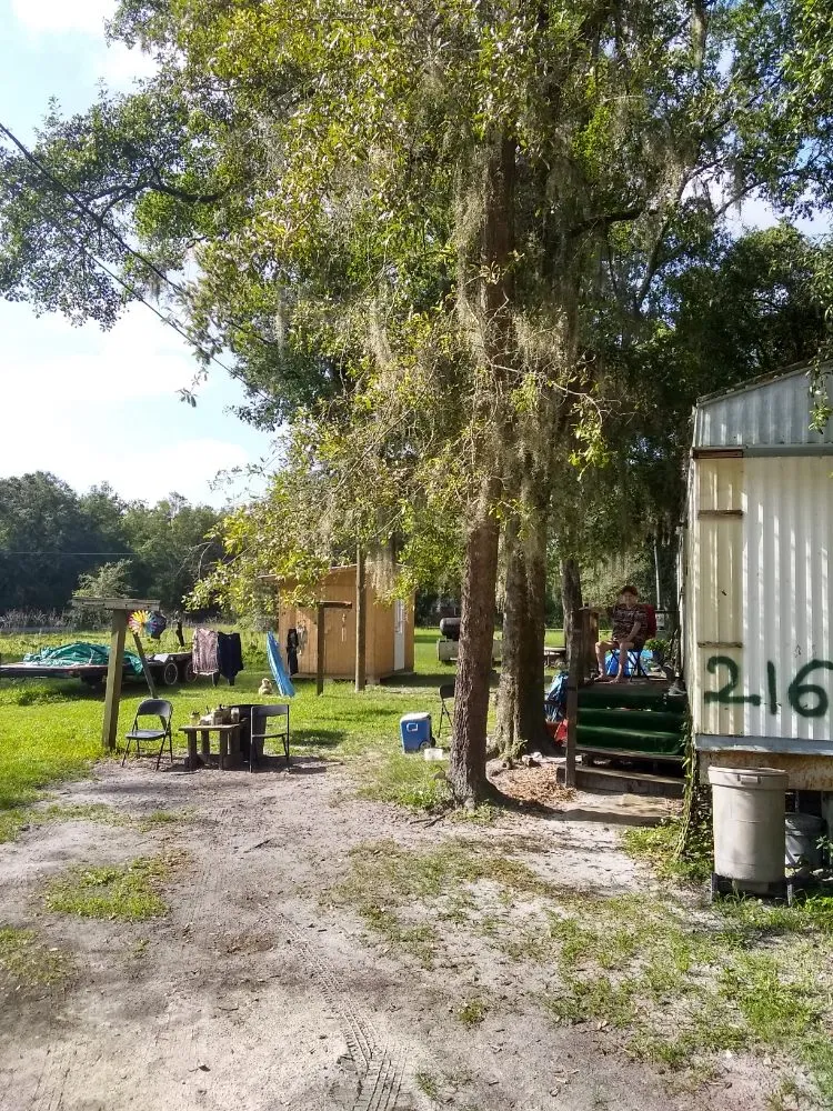 Expert landscaping services experts serving Lake City, FL - Yards by William