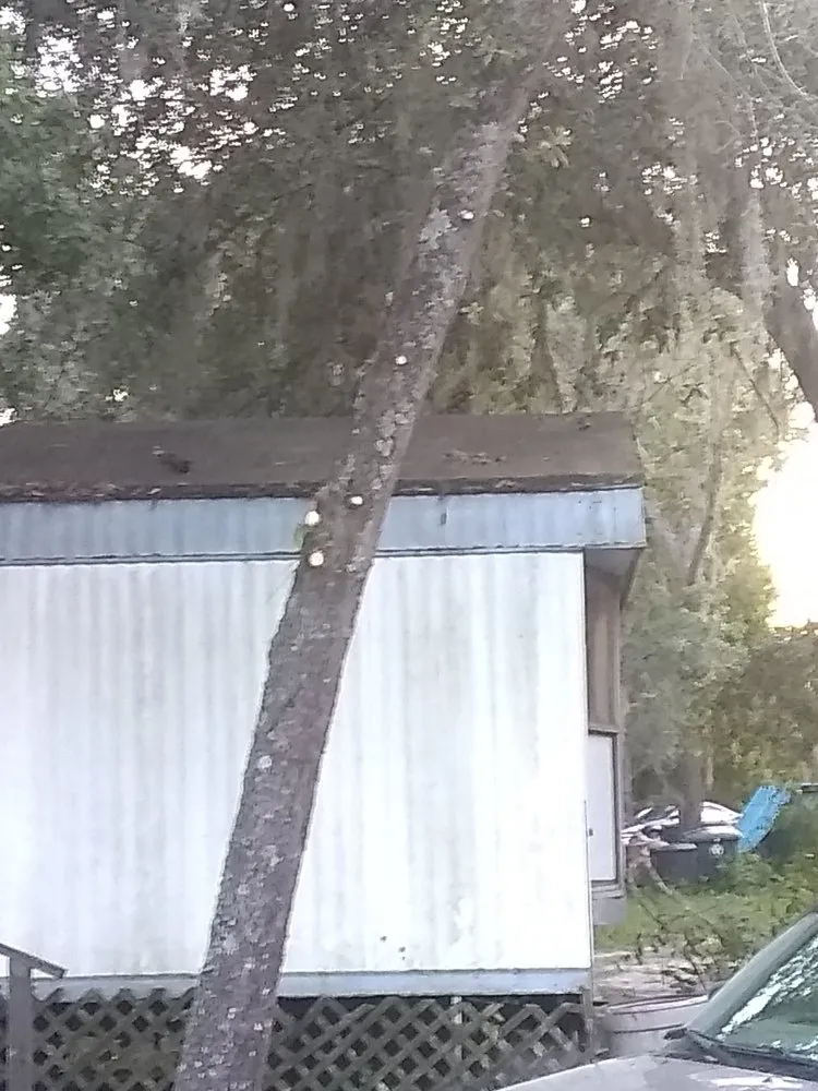 Custom lawn mowing service experts serving Lake City, FL - Yards by William