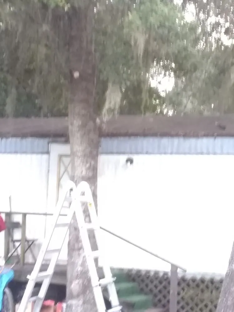 Top-rated landscape installation for residential properties in Lake City, FL by Yards by William