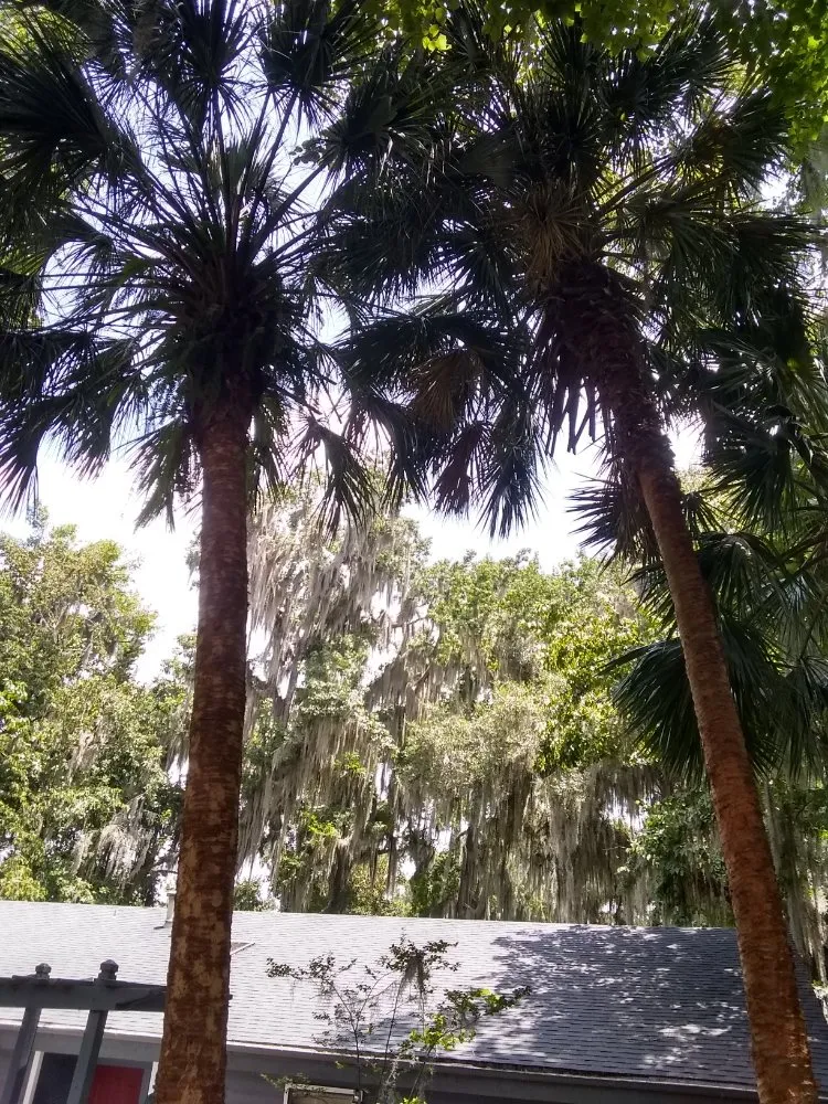 Custom garden landscaping in Lake City, FL - Yards by William