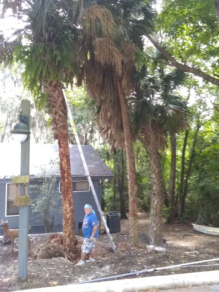 Trusted yard maintenance in Lake City, FL by Yards by William