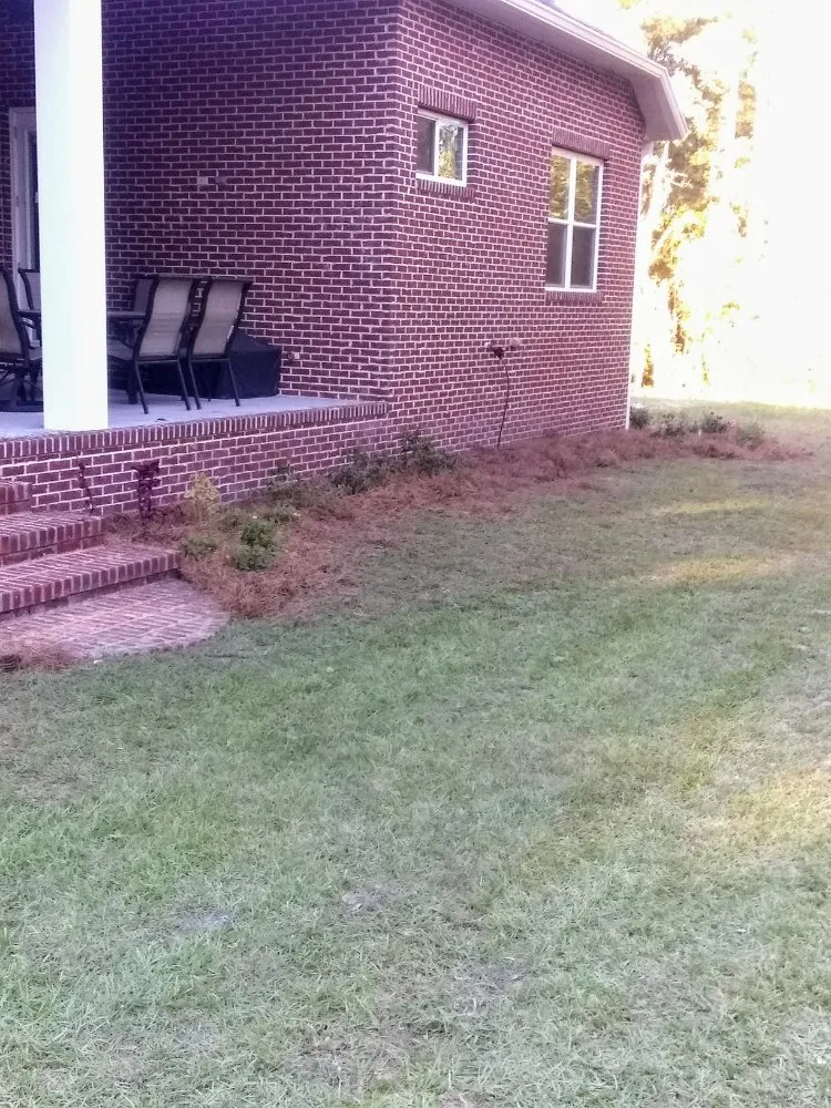 Reliable landscaping services in Lake City, FL - Yards by William