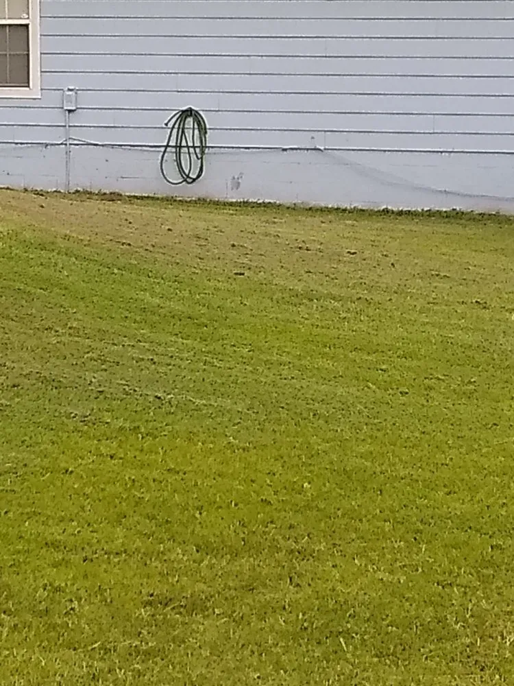 Reliable lawn care service with custom design across Lake City, FL - Yards by William