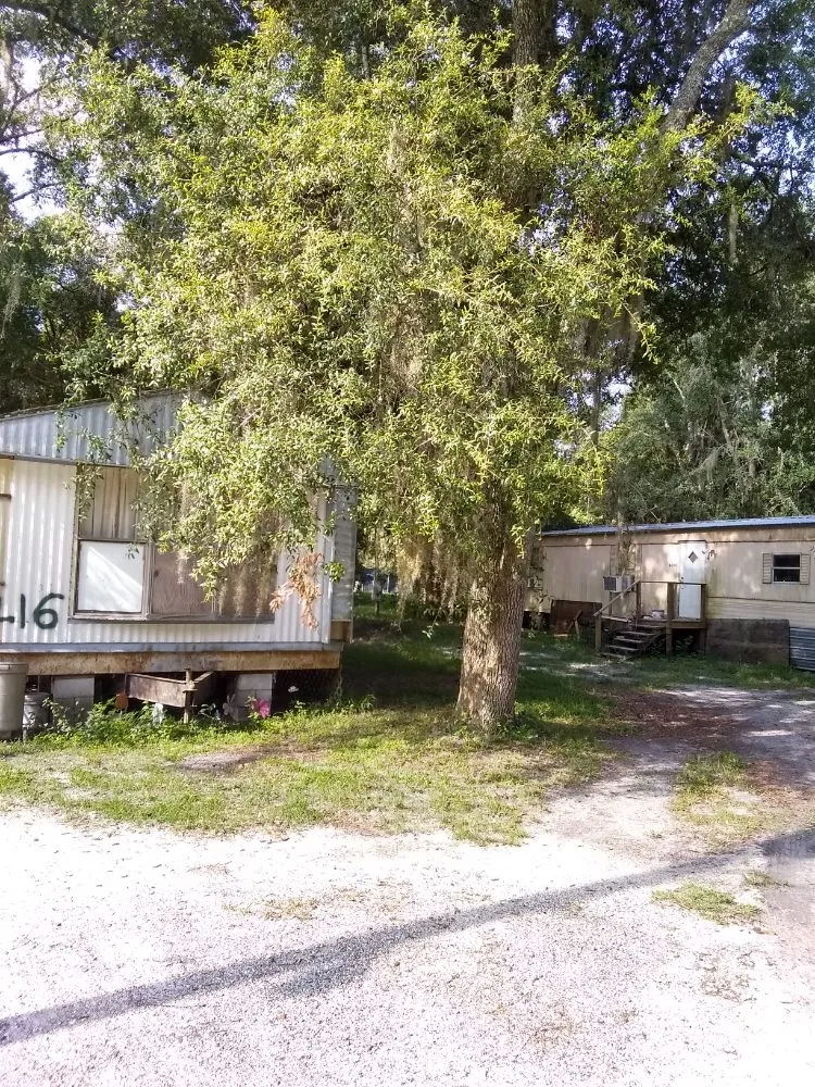 Reliable residential landscaping in Lake City, FL - Yards by William