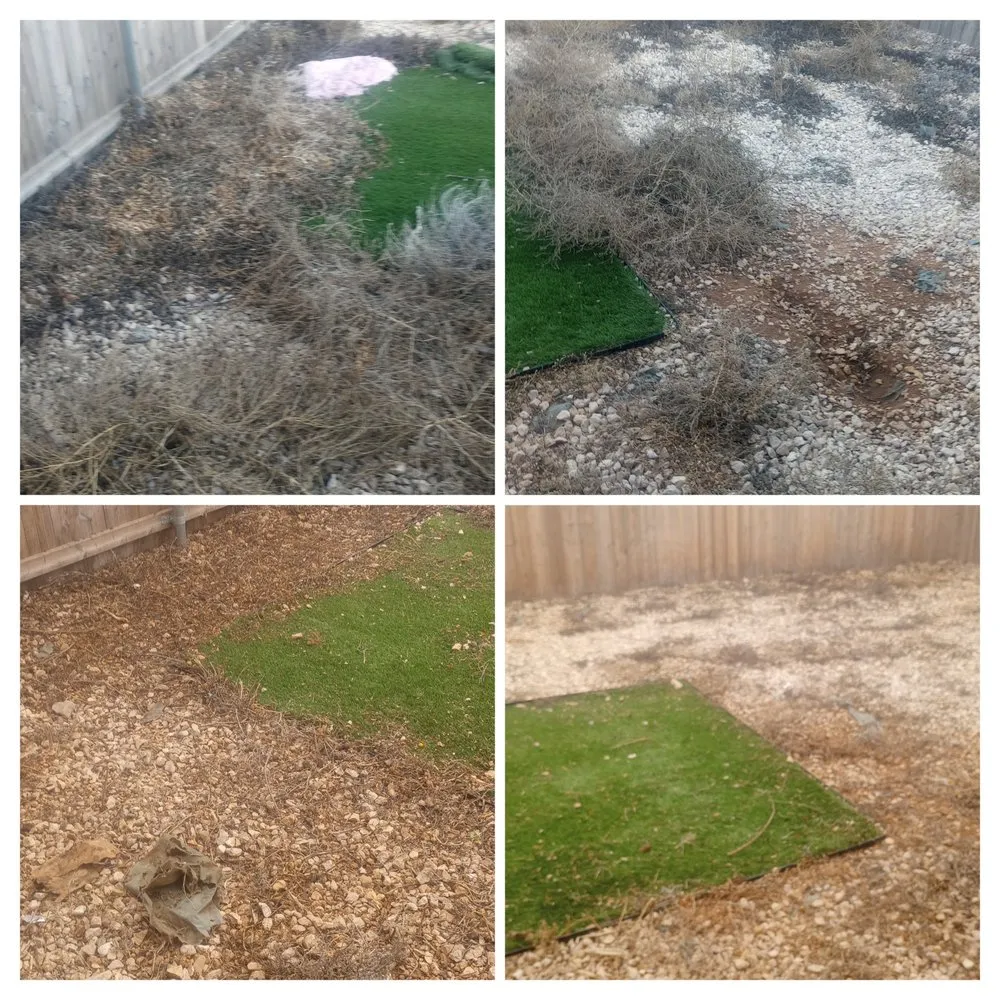 Expert landscaping services in Lubbock, TX by Yards by Yoshi