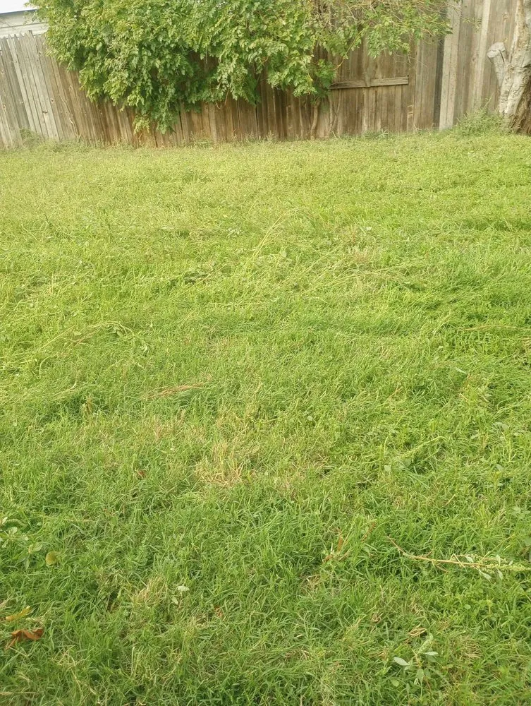 Trusted outdoor landscaping for outdoor upgrades across Lubbock, TX - Yards by Yoshi