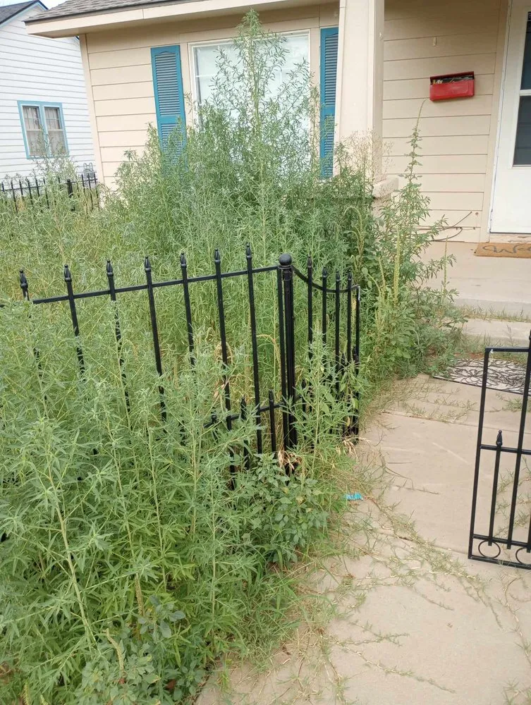 Top-rated yard maintenance for homes in Lubbock, TX by Yards by Yoshi