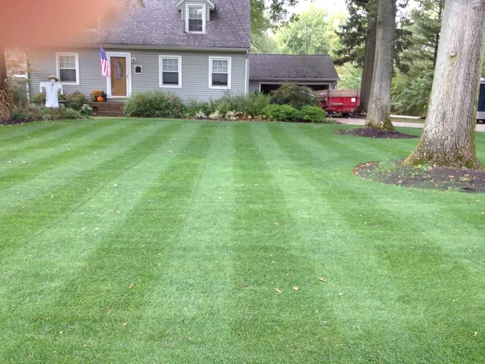 Affordable lawn care service in Westlake, OH by Yards Done Right Landscaping