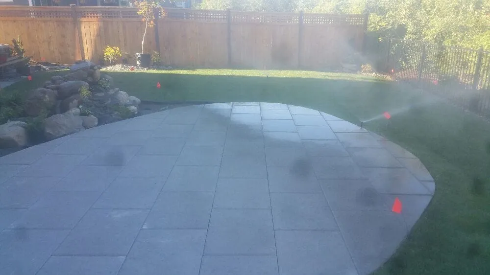 Reliable yard maintenance for year-round maintenance in Olympia, WA by Yards Done Right