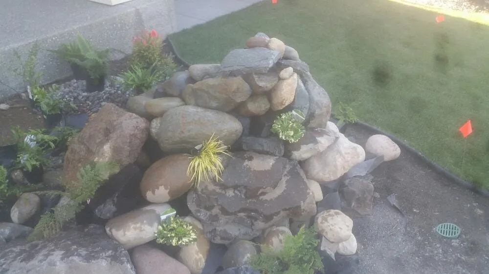 Local yard maintenance experts serving Olympia, WA - Yards Done Right