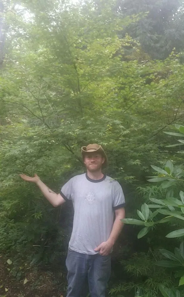 Professional lawn care service near you across Olympia, WA - Yards Done Right