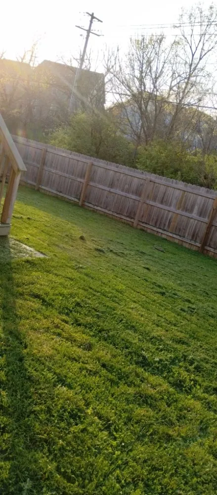 Expert yard cleanup service experts serving Lexington-Fayette, KY - Yards for Forty