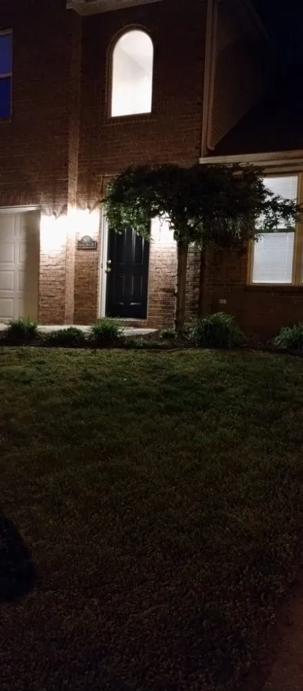 Affordable yard cleanup service in Lexington-Fayette, KY - Yards for Forty