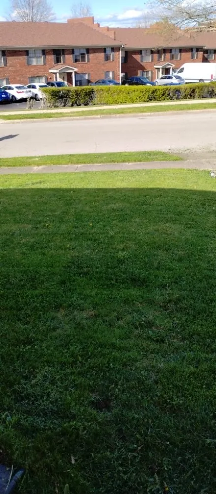 Reliable residential landscaping experts serving Lexington-Fayette, KY - Yards for Forty
