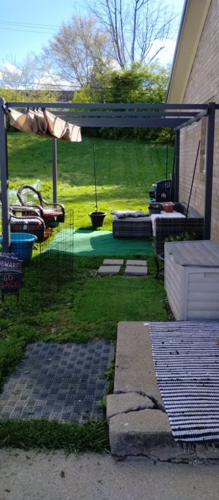 Expert yard cleanup service near you in Lexington-Fayette, KY by Yards for Forty