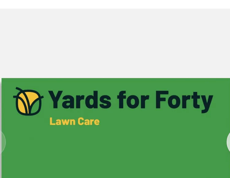 Reliable yard cleanup service in Lexington-Fayette, KY - Yards for Forty