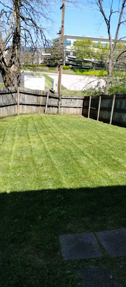 Affordable landscaping services for residential properties in Lexington-Fayette, KY by Yards for Forty