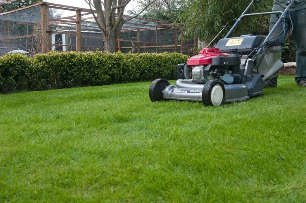 Professional landscape installation for beautiful yards across Lexington-Fayette, KY - Yards for Forty