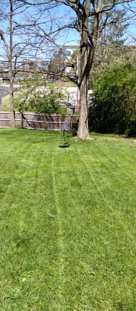 Custom landscaping services experts serving Lexington-Fayette, KY - Yards for Forty