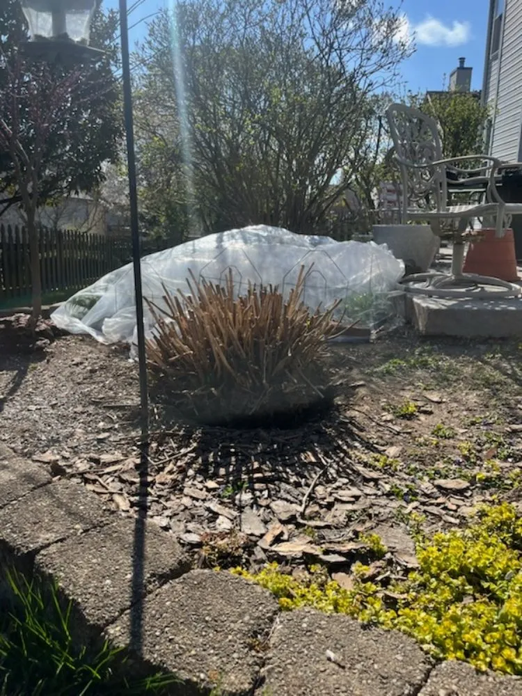 Top-rated yard cleanup service experts serving Lexington-Fayette, KY - Yards for Forty