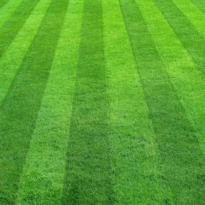 Yards for Forty Logo