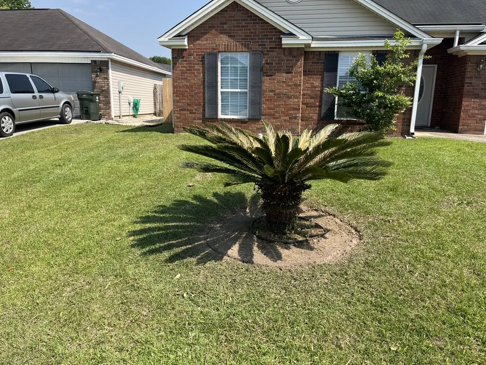 Expert yard maintenance in Savannah, GA - Yards Matter