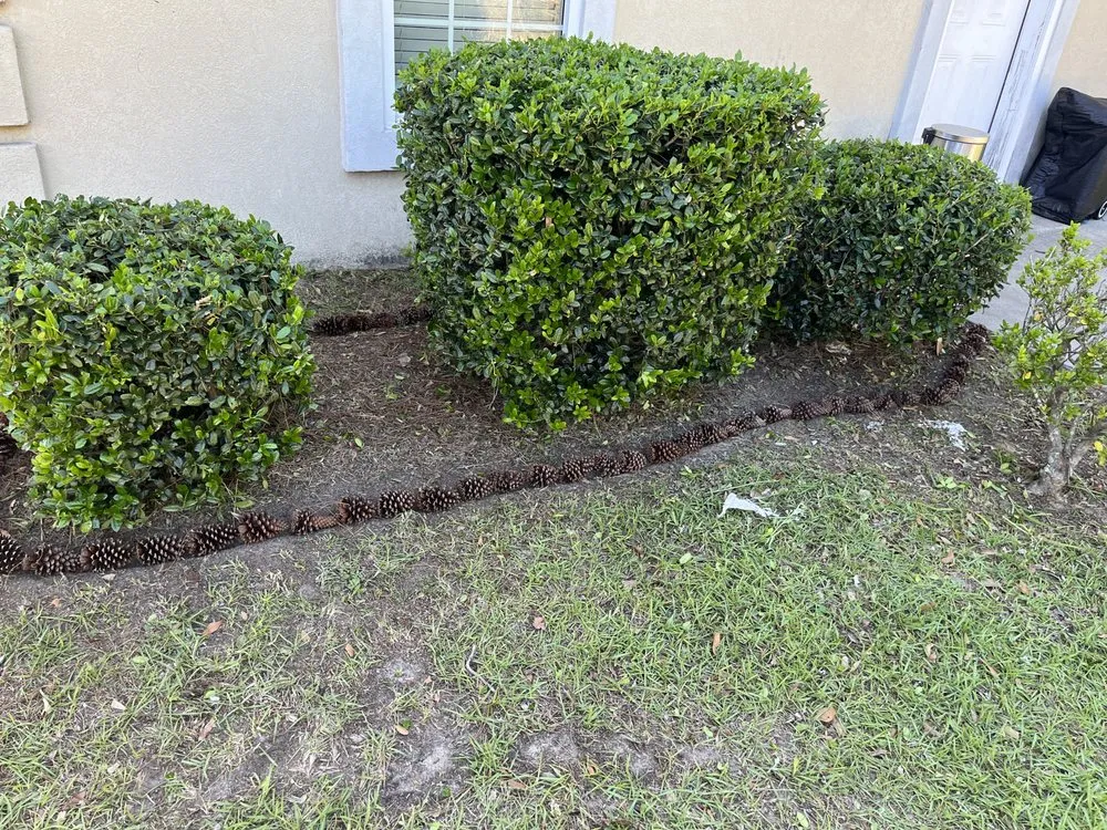 Expert landscaping services experts serving Savannah, GA - Yards Matter