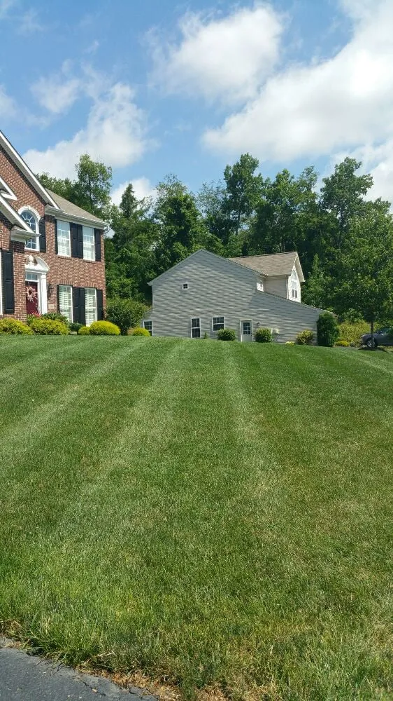 Reliable residential landscaping near you across Pittsburgh, PA - Yards of Green Lawn Care and Landscaping