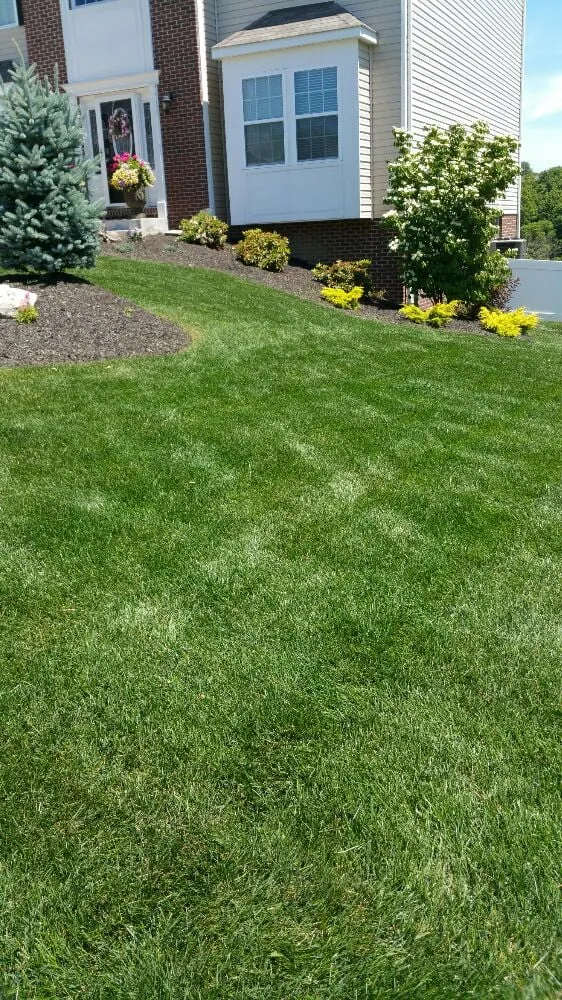 Expert yard cleanup service in Pittsburgh, PA - Yards of Green Lawn Care and Landscaping