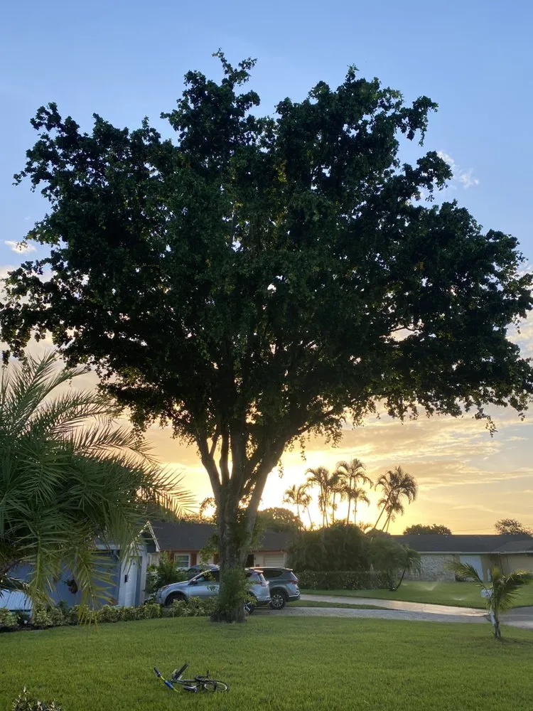 Top-rated lawn care service for outdoor upgrades in Boynton Beach, FL by Yards Plus Landscaping