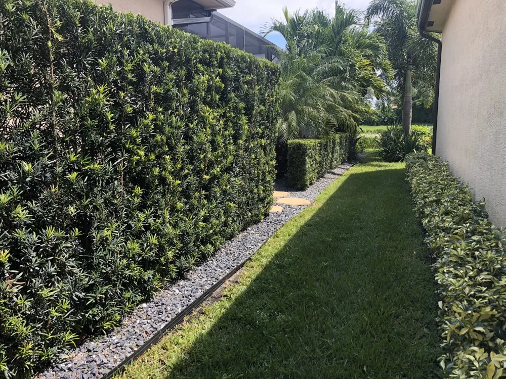 Affordable residential landscaping for beautiful yards across Boynton Beach, FL - Yards Plus Landscaping