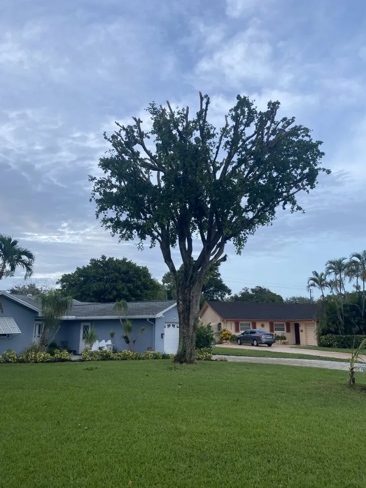 Top-rated landscape design in Boynton Beach, FL - Yards Plus Landscaping