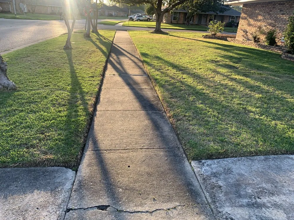 Local yard cleanup service for beautiful yards in Walker, LA by Yards Plus