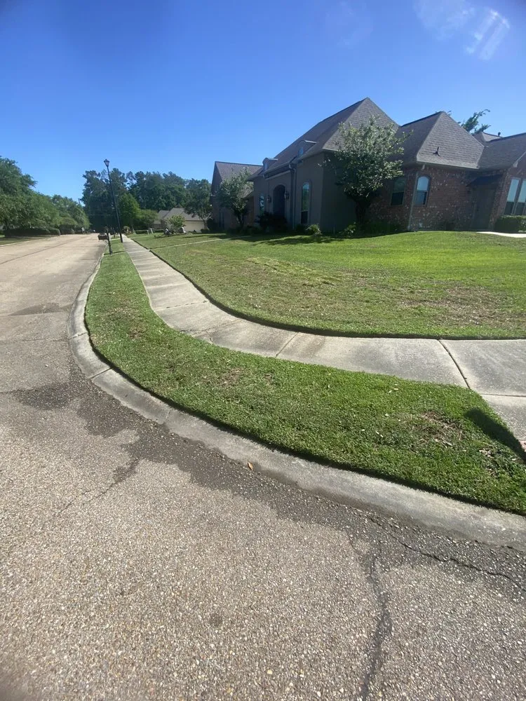 Expert yard cleanup service for year-round maintenance in Walker, LA by Yards Plus