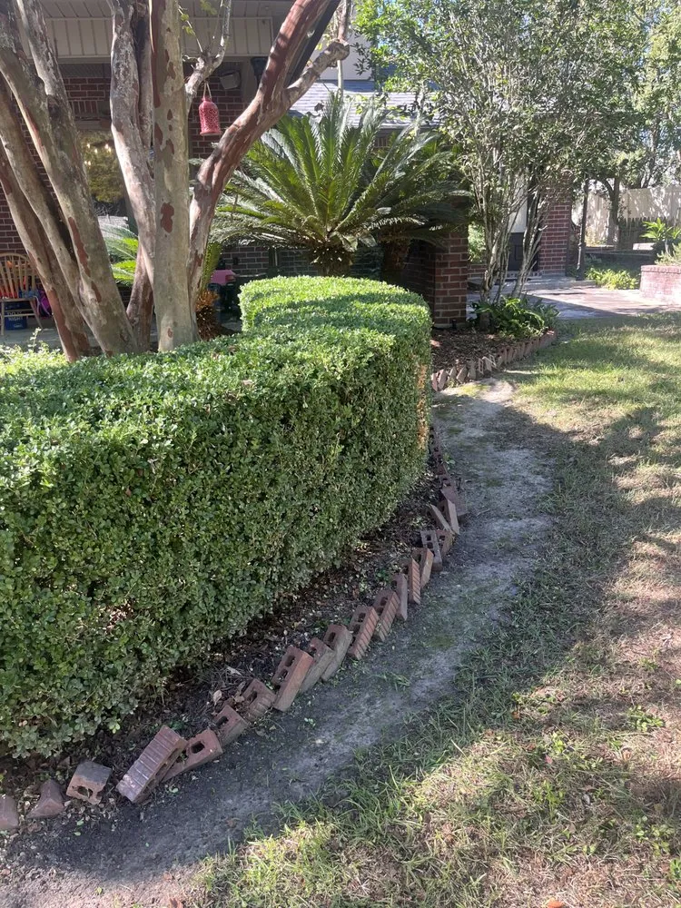 Local landscape installation with custom design across Walker, LA - Yards Plus