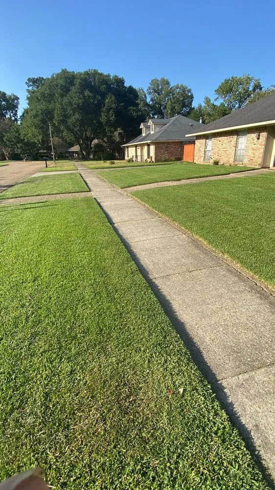 Local yard cleanup service for residential properties across Walker, LA - Yards Plus