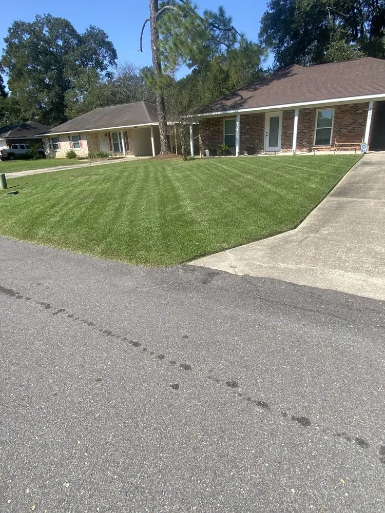 Local landscape installation for homes across Walker, LA - Yards Plus