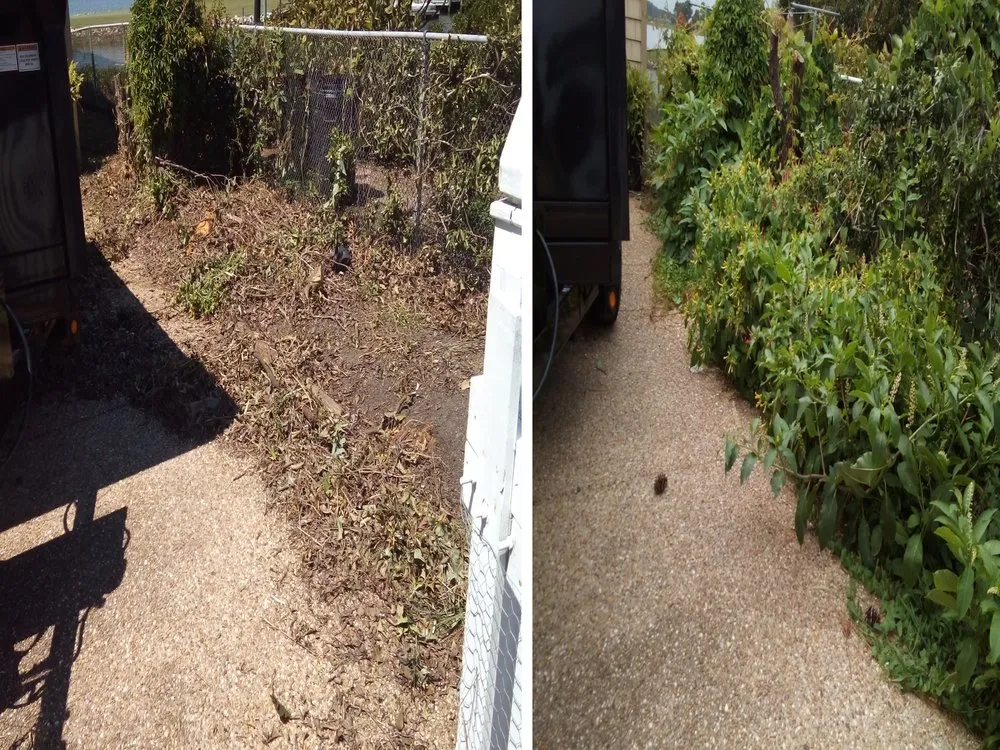 Reliable lawn mowing service in Hampton, VA - Yards R Us