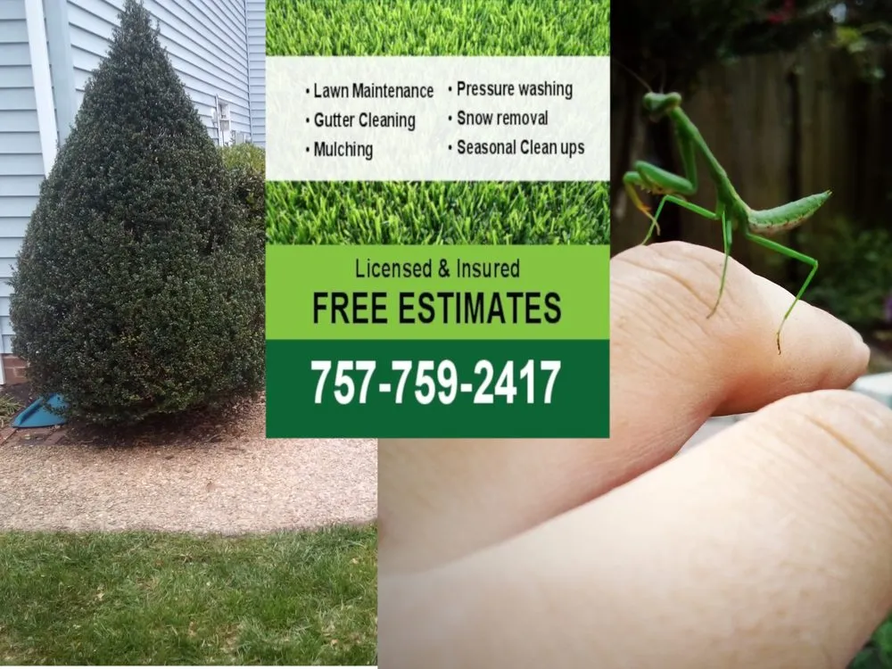 Professional lawn care service experts serving Hampton, VA - Yards R Us