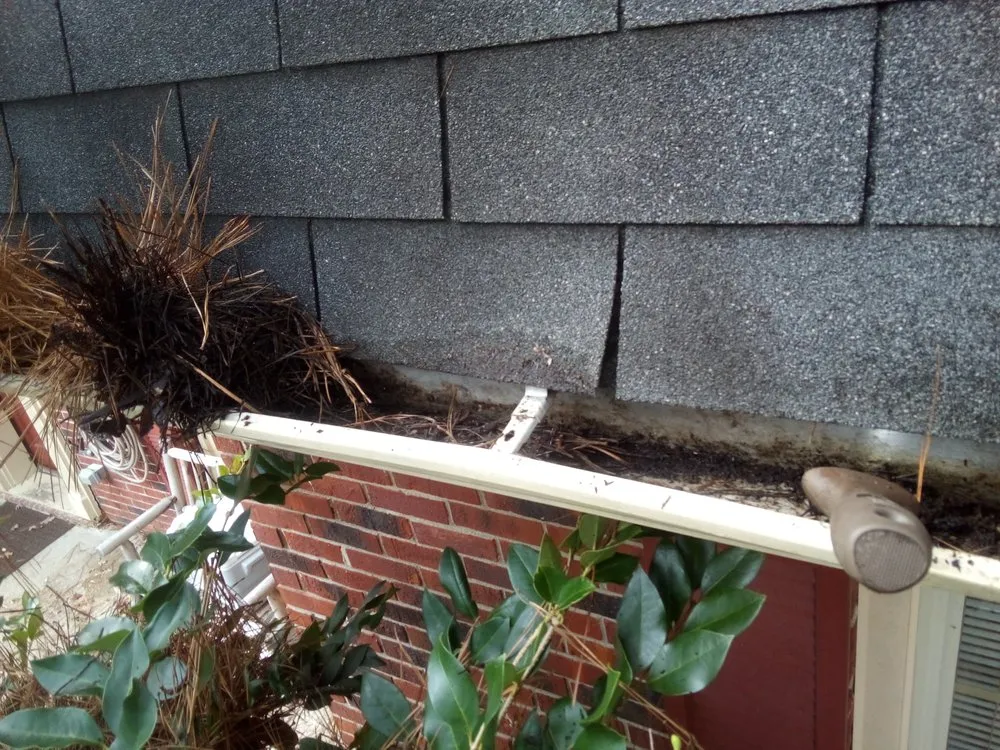 Trusted landscape design for residential properties across Hampton, VA - Yards R Us