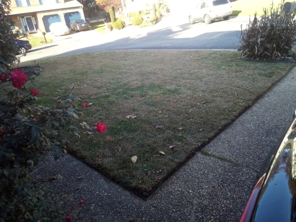 Professional residential landscaping experts serving Hampton, VA - Yards R Us