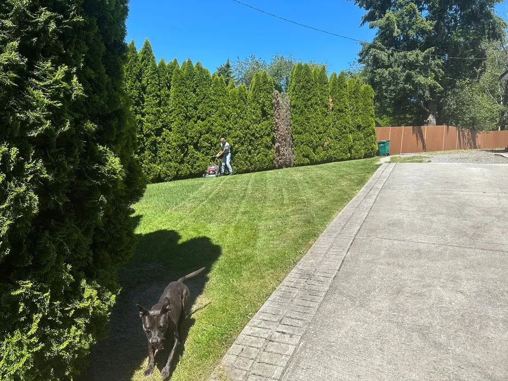 Expert landscape design for beautiful yards across Seattle, WA - Yards R Us Since 1993