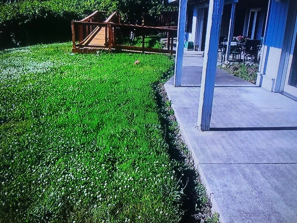 Trusted lawn care service in Seattle, WA - Yards R Us Since 1993