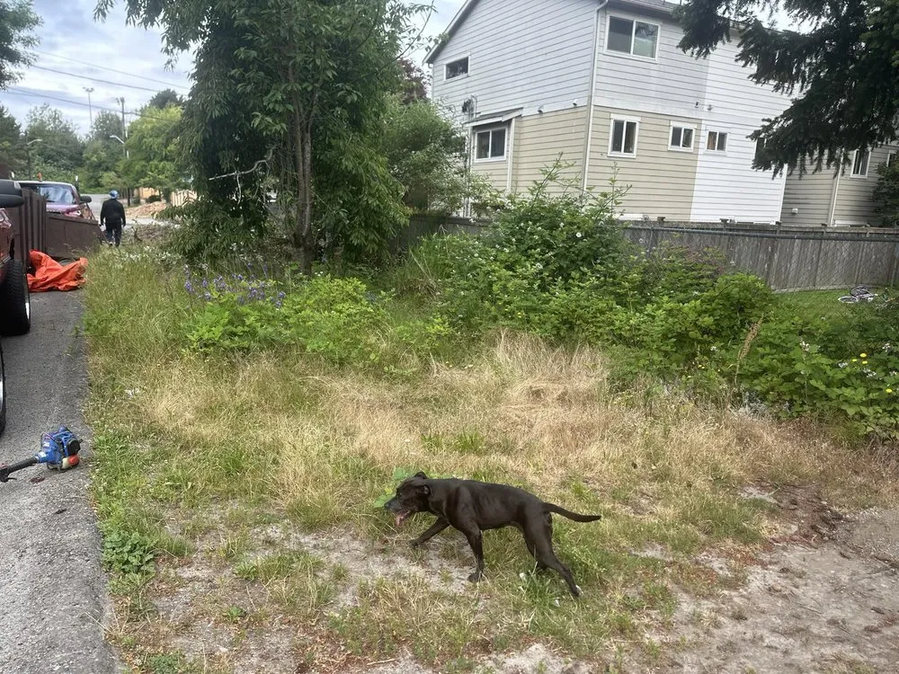 Expert garden landscaping experts serving Seattle, WA - Yards R Us Since 1993