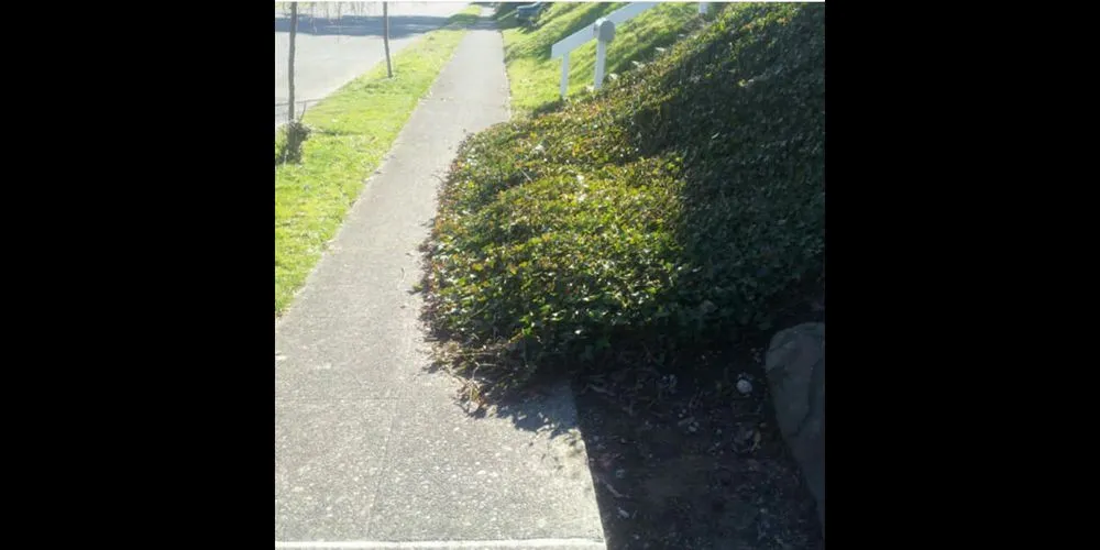 Custom residential landscaping in Seattle, WA by Yards R Us Since 1993