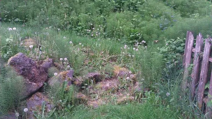 Affordable garden landscaping experts serving Seattle, WA - Yards R Us Since 1993