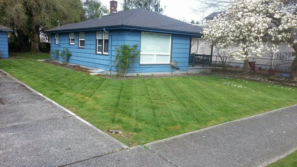 Expert landscaping services in Seattle, WA by Yards R Us Since 1993